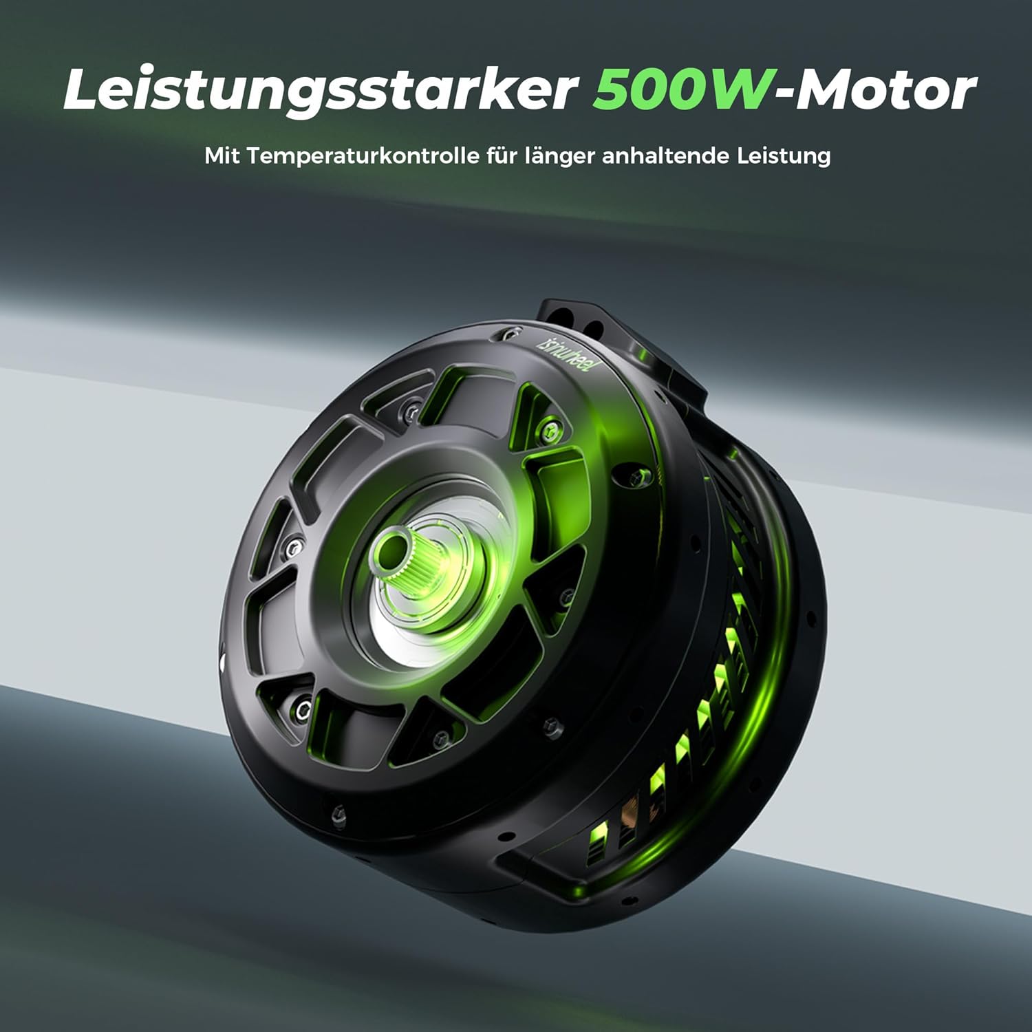 GT2 E Scooter mit Straßenzulassung, Offroad Elektroroller für Erwachsene, bis 80KM Reichweite